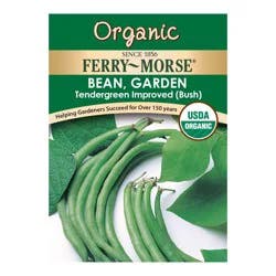 Ferry Morse Bean Tendergreen Organic