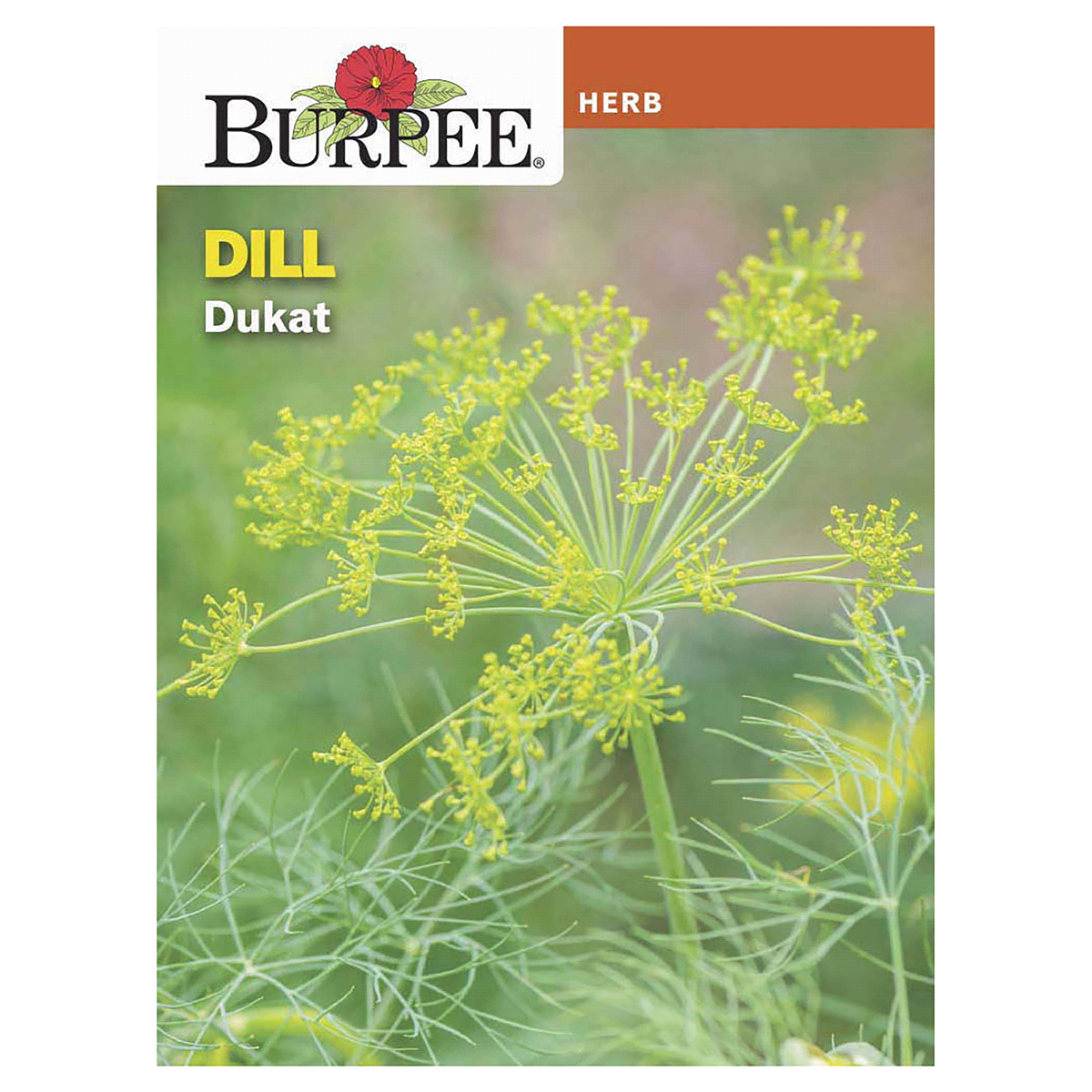 slide 1 of 5, Burpee Dill Dukat Seeds, 1 ct