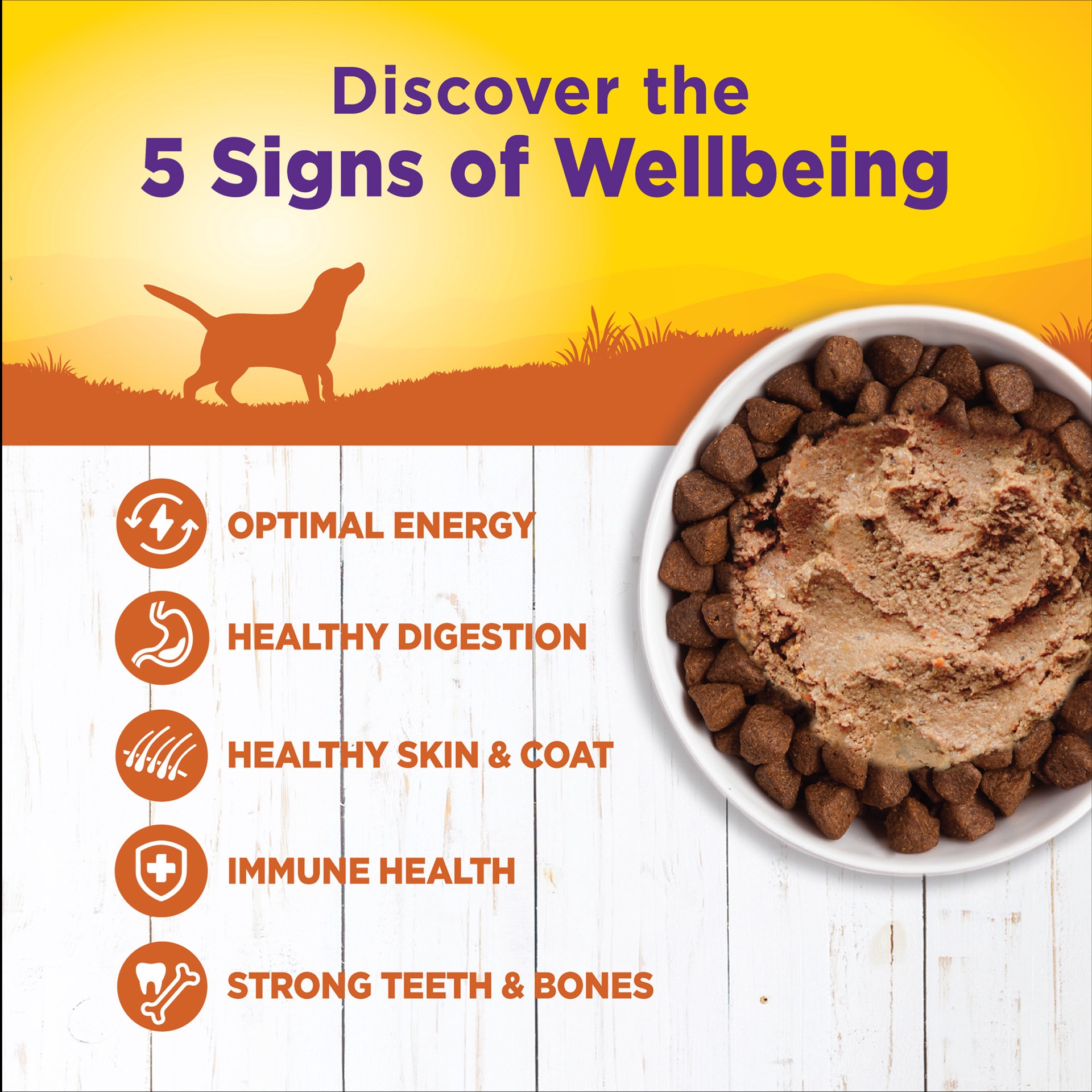 slide 3 of 5, Wellpet Llc Natural Dog Food Turkey & Sweet Potato Formula, 12.5 oz