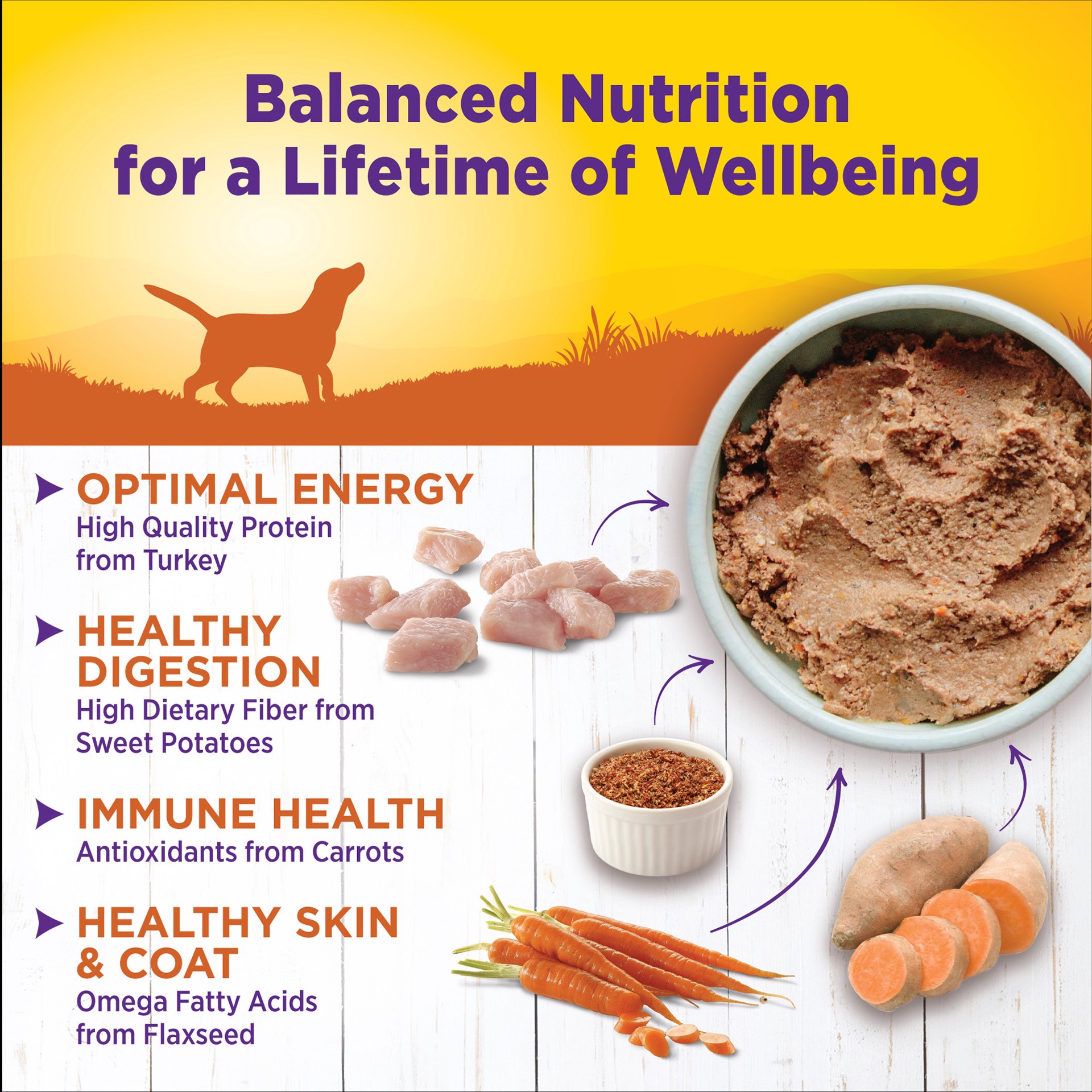 slide 4 of 5, Wellpet Llc Natural Dog Food Turkey & Sweet Potato Formula, 12.5 oz