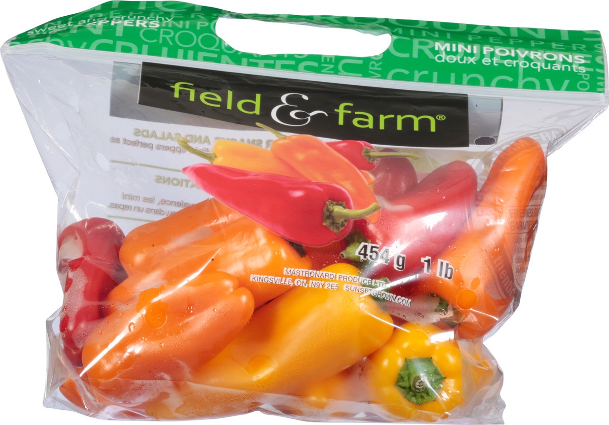 slide 3 of 8, Field & Farm Sweet and Crunchy Mini Peppers 1 lb, 1 lb