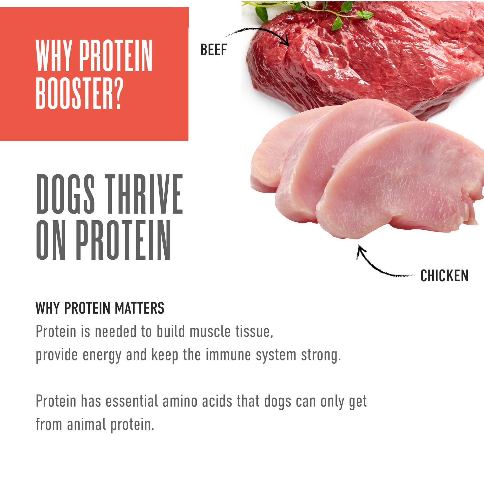 slide 5 of 7, Tiki Dog Born Carnivore Protein Booster Chicken and Beef Recipe in Broth Dog Food Topper, 2.1 oz., 1 ct