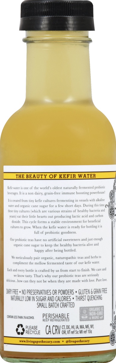 slide 3 of 4, The Living Apothecary Probiotic Kefir Water Tea - Mango Green Tea, 13 fl oz