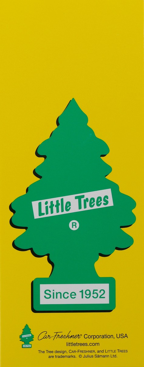 slide 5 of 9, Little Trees True North Fragrance Air Freshner one Pack, 1 ct