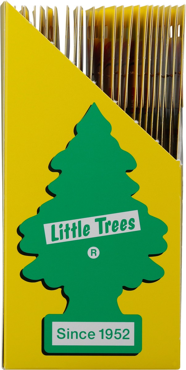 slide 9 of 9, Little Trees True North Fragrance Air Freshner one Pack, 1 ct