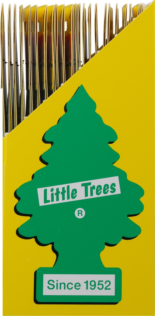slide 4 of 9, Little Trees True North Fragrance Air Freshner one Pack, 1 ct