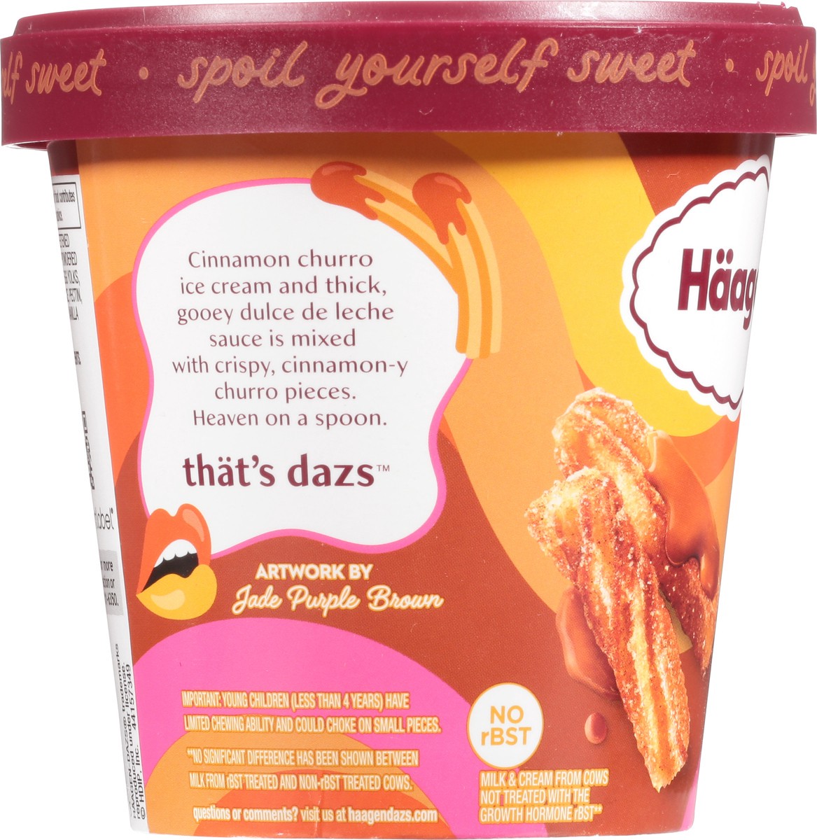 slide 5 of 9, Häagen-Dazs Haagen Dazs Dulce de Leche Churro Ice Cream, 14 fl Oz, 14 fl oz