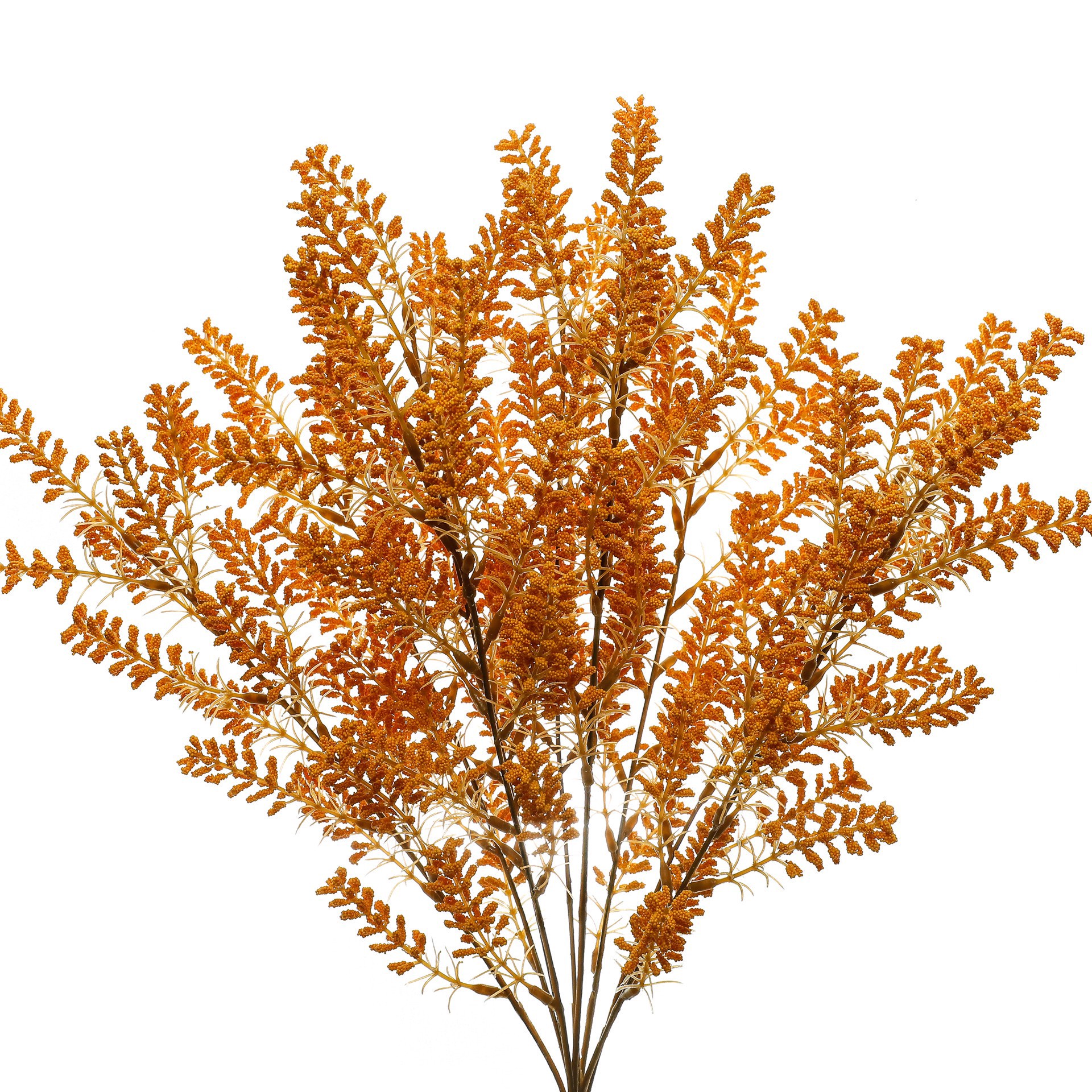 slide 3 of 3, 19" Berry Bush By Ashland, 19 in