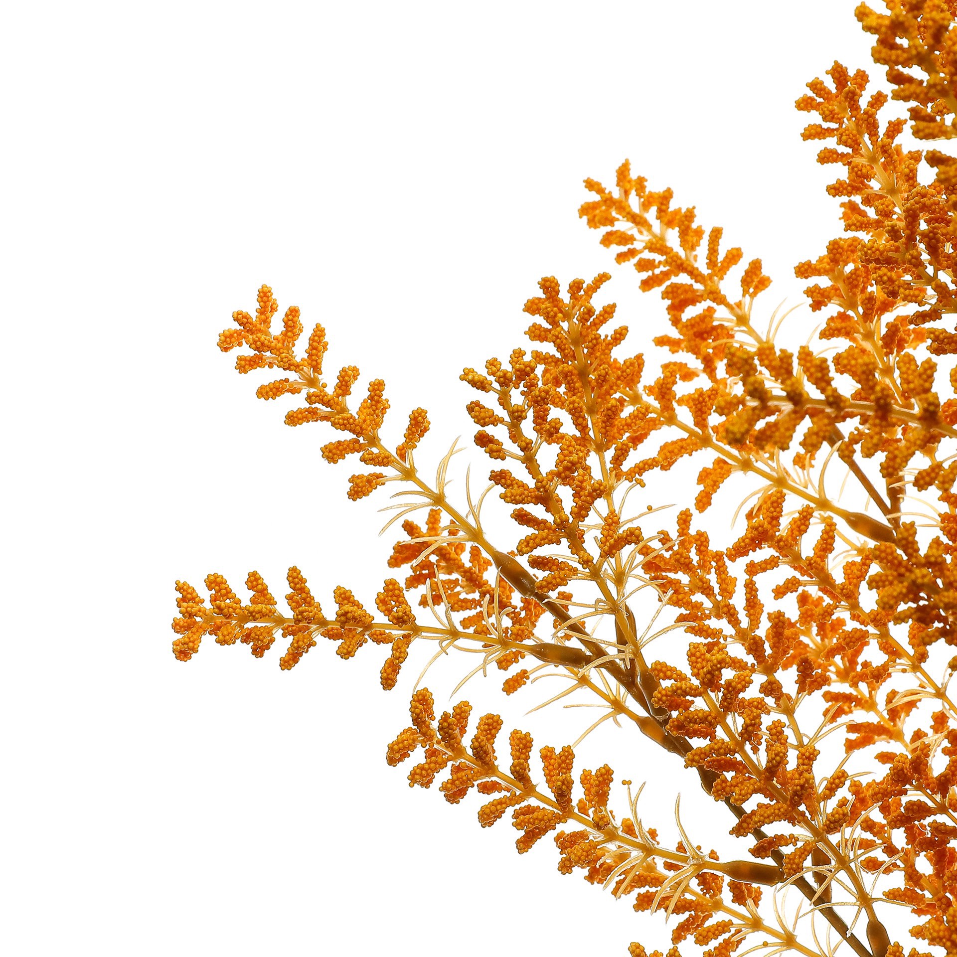 slide 2 of 3, 19" Berry Bush By Ashland, 19 in