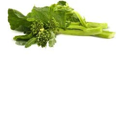 Mann's Better Green Leaf