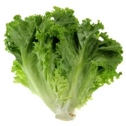 Mann's Better Green Leaf