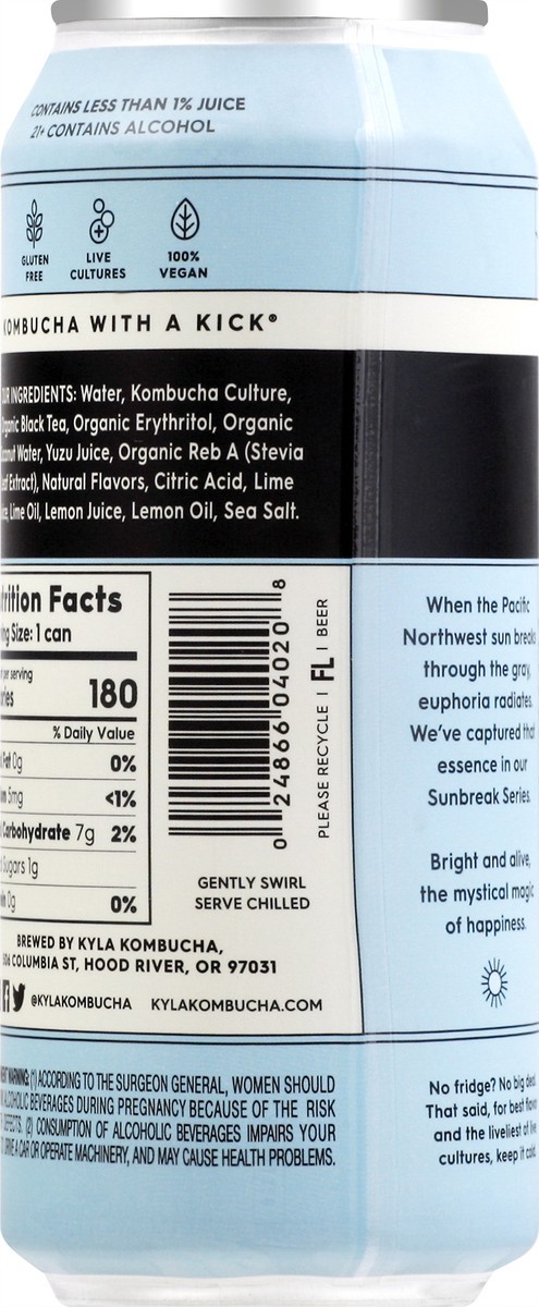 slide 7 of 9, Kyla Sunbreak Series Coconut Crush Hard Kombucha 16 oz, 16 oz