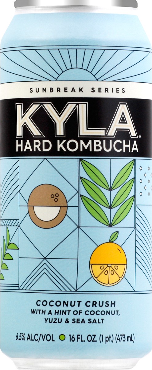 slide 2 of 9, Kyla Sunbreak Series Coconut Crush Hard Kombucha 16 oz, 16 oz