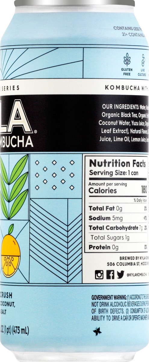 slide 5 of 9, Kyla Sunbreak Series Coconut Crush Hard Kombucha 16 oz, 16 oz