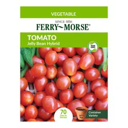 Ferry-Morse Jelly Bean Hybrid Tomato - 1 ct