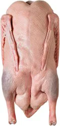 Fresh Whole Goose