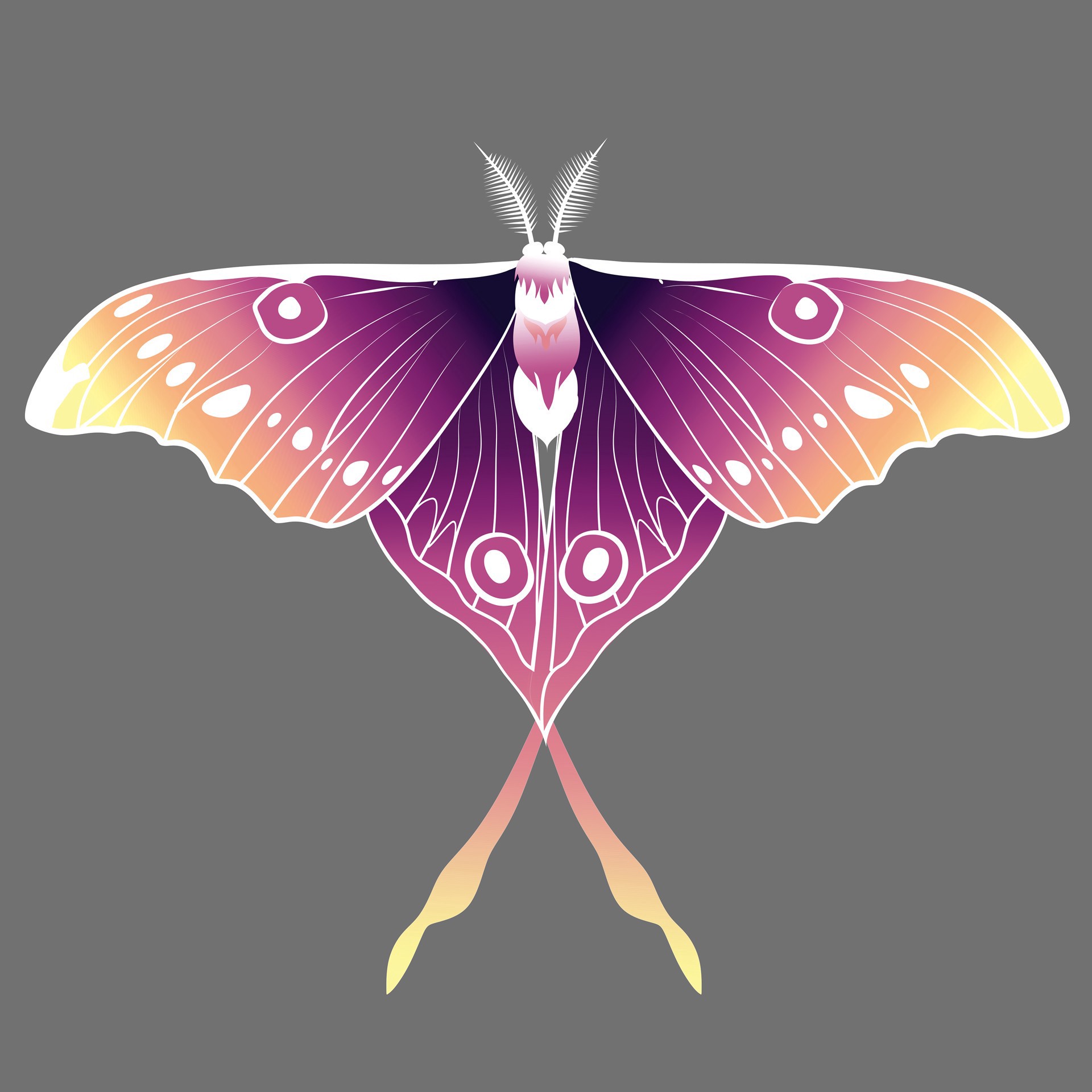 slide 8 of 8, 4" X 4" Moths Canvas Painting Kit By Craft Smart, 4 in x 4 in