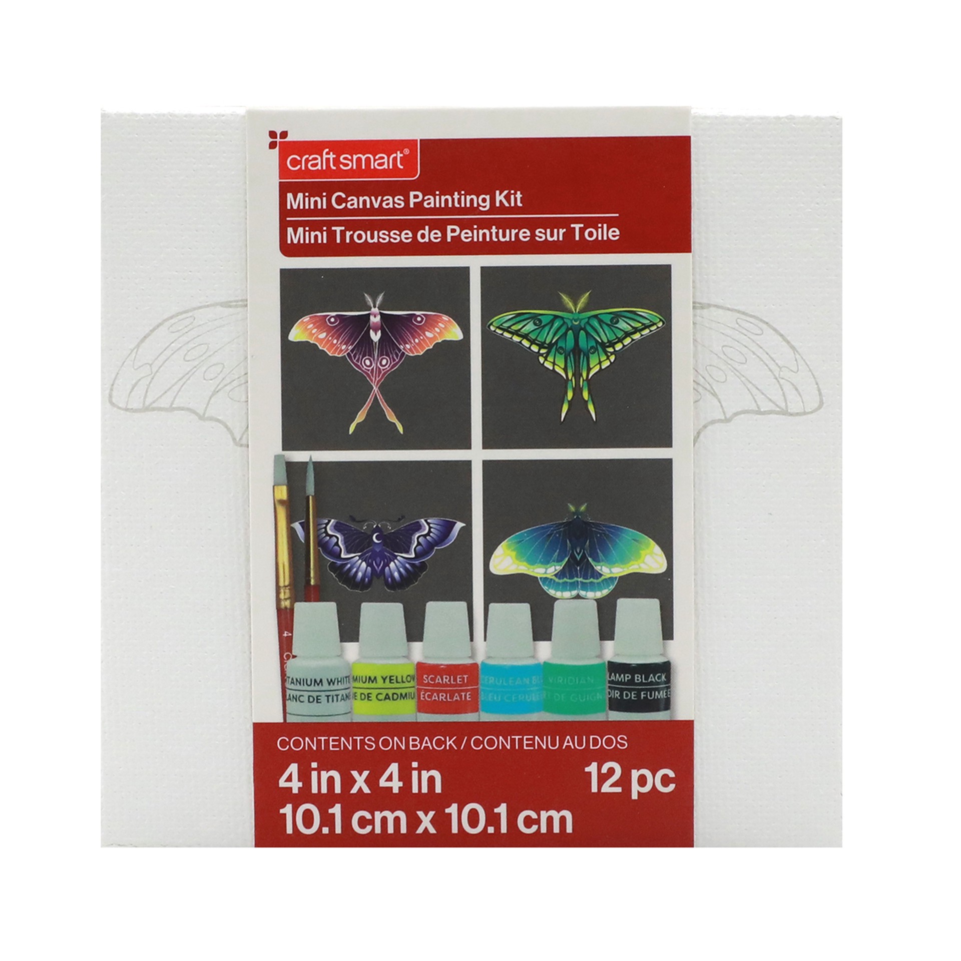 slide 3 of 8, 4" X 4" Moths Canvas Painting Kit By Craft Smart, 4 in x 4 in