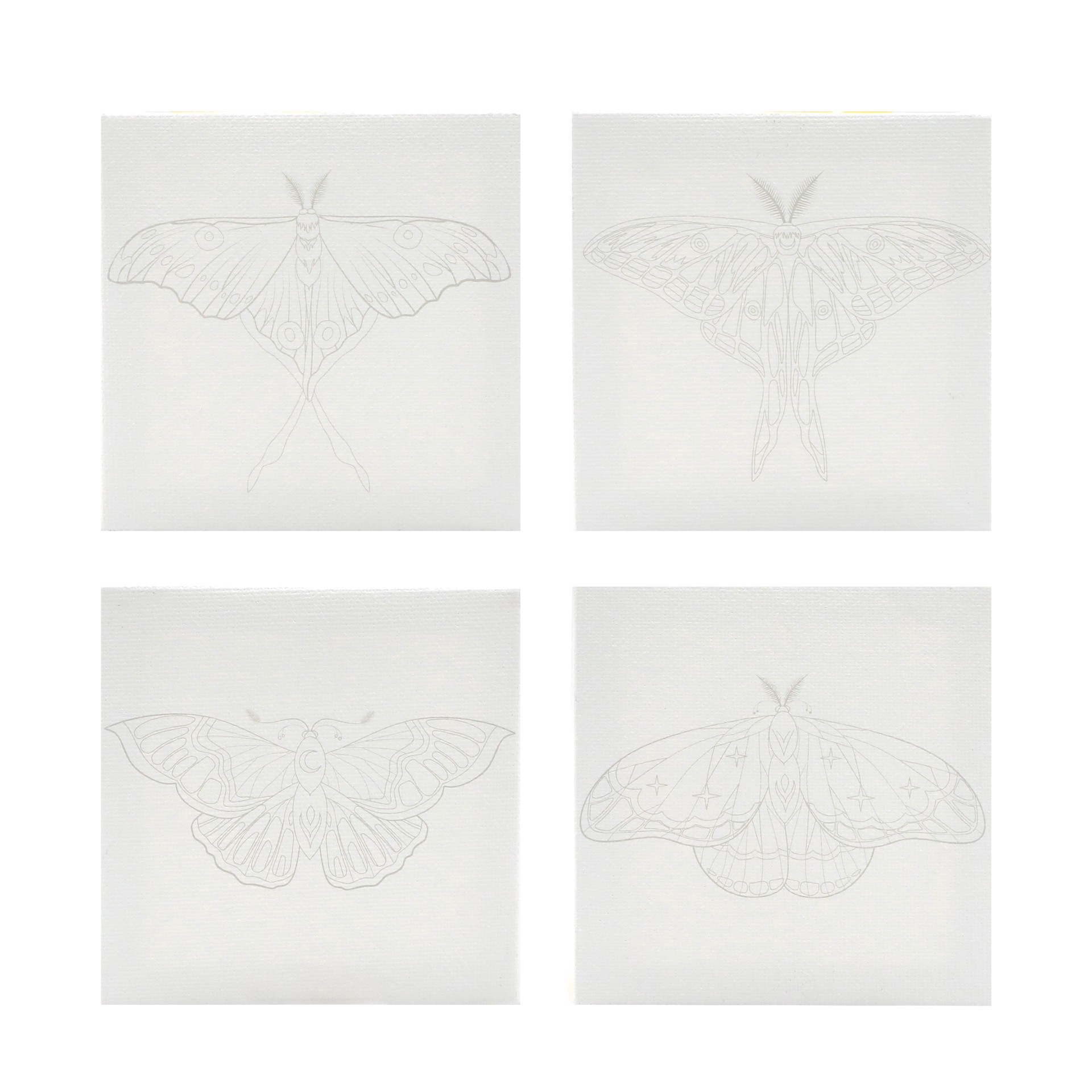 slide 5 of 8, 4" X 4" Moths Canvas Painting Kit By Craft Smart, 4 in x 4 in