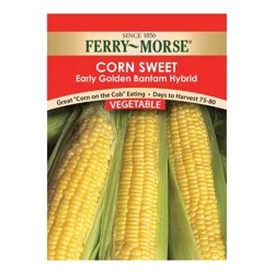 Ferry Morse Sweet Corn Early Golden Bantam