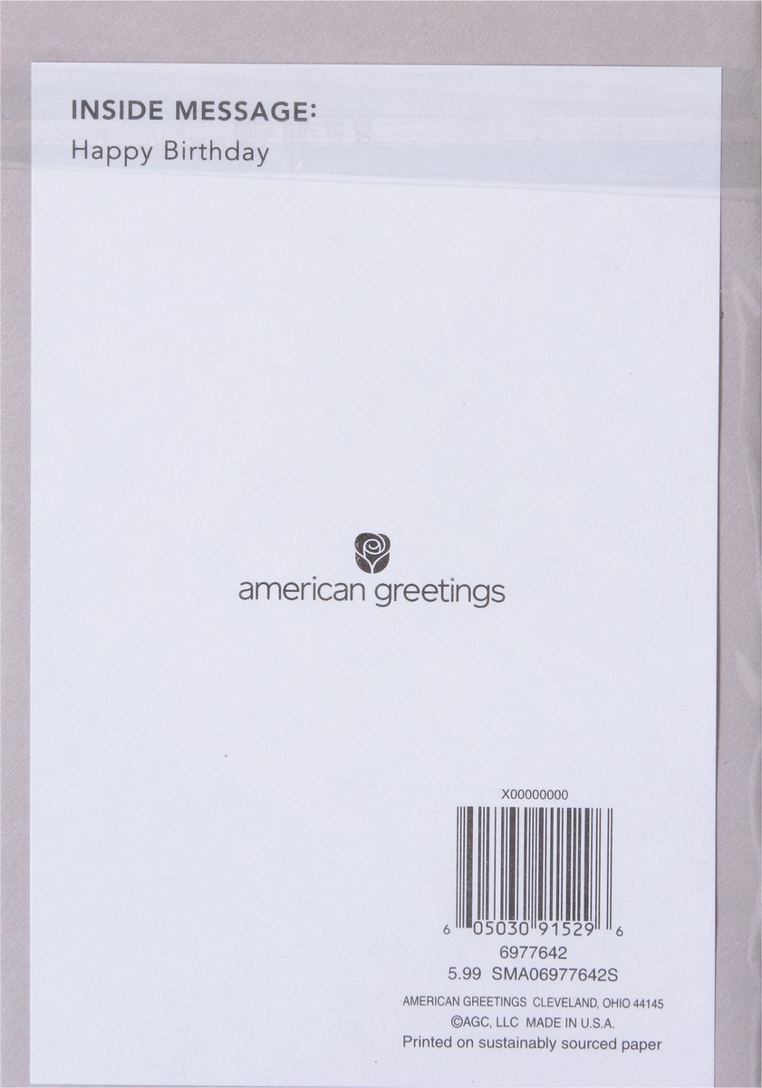 slide 5 of 9, American Greetings Show dad how grateful you are with this sophisticated birthday card. Featuring a bold design with gold and silver foil stamping on a black background, this card is sure to be one he''ll appreciate. The message tells him how thankful you are for him and inside there''s plenty of room to write your own personalized note. He''s definitely going to love this sweet card. Envelope included., 1 ct