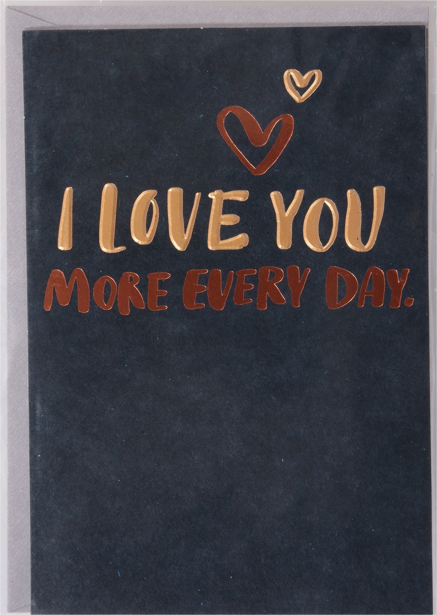 slide 7 of 9, American Greetings Your husband is going to love this heartfelt birthday card. It features a sophisticated lettering design that reads, “I love you more every day”, on a bold black background with gold and copper foil stamping embellishments. Inside, there''s a message about how lucky you are to have him as a husband and plenty of room to write your own personalized note. He''s definitely going to love this sweet card. Envelope included., 1 ct