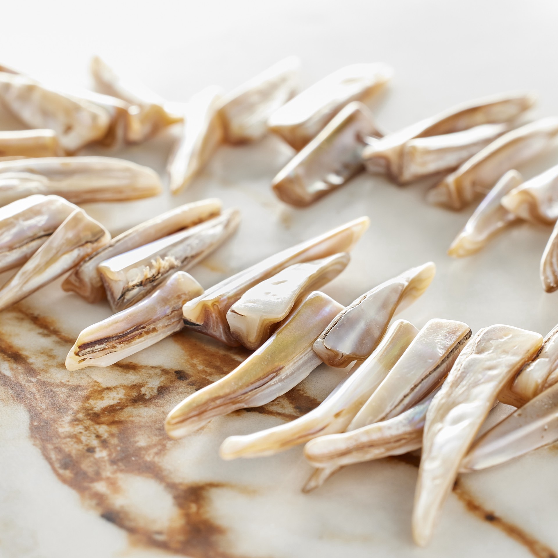 slide 2 of 3, Tan Shell Stick Beads, 28mm By Bead Landing, 28 mm