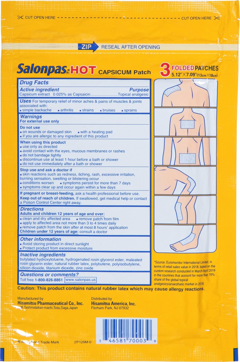 slide 3 of 9, Salonpas-Hot Folded Capsicum Patch Large 3 ea, 3 ct