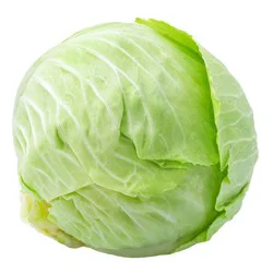 Green Cabbage