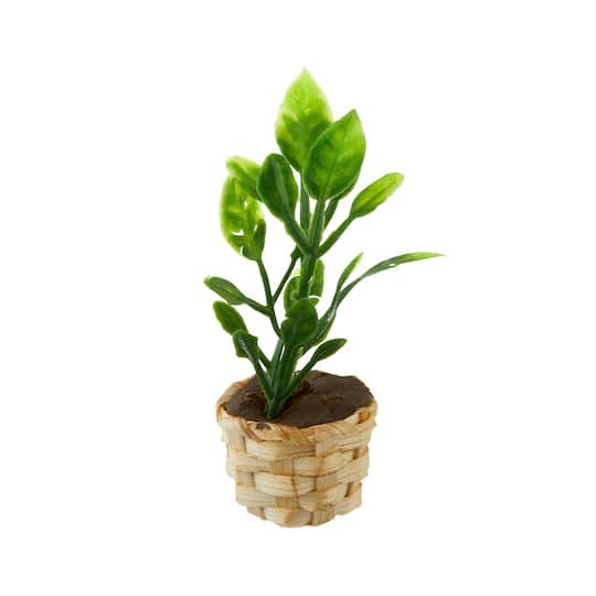 slide 1 of 3, Mini Potted Plant By Make Market, 2.5 in