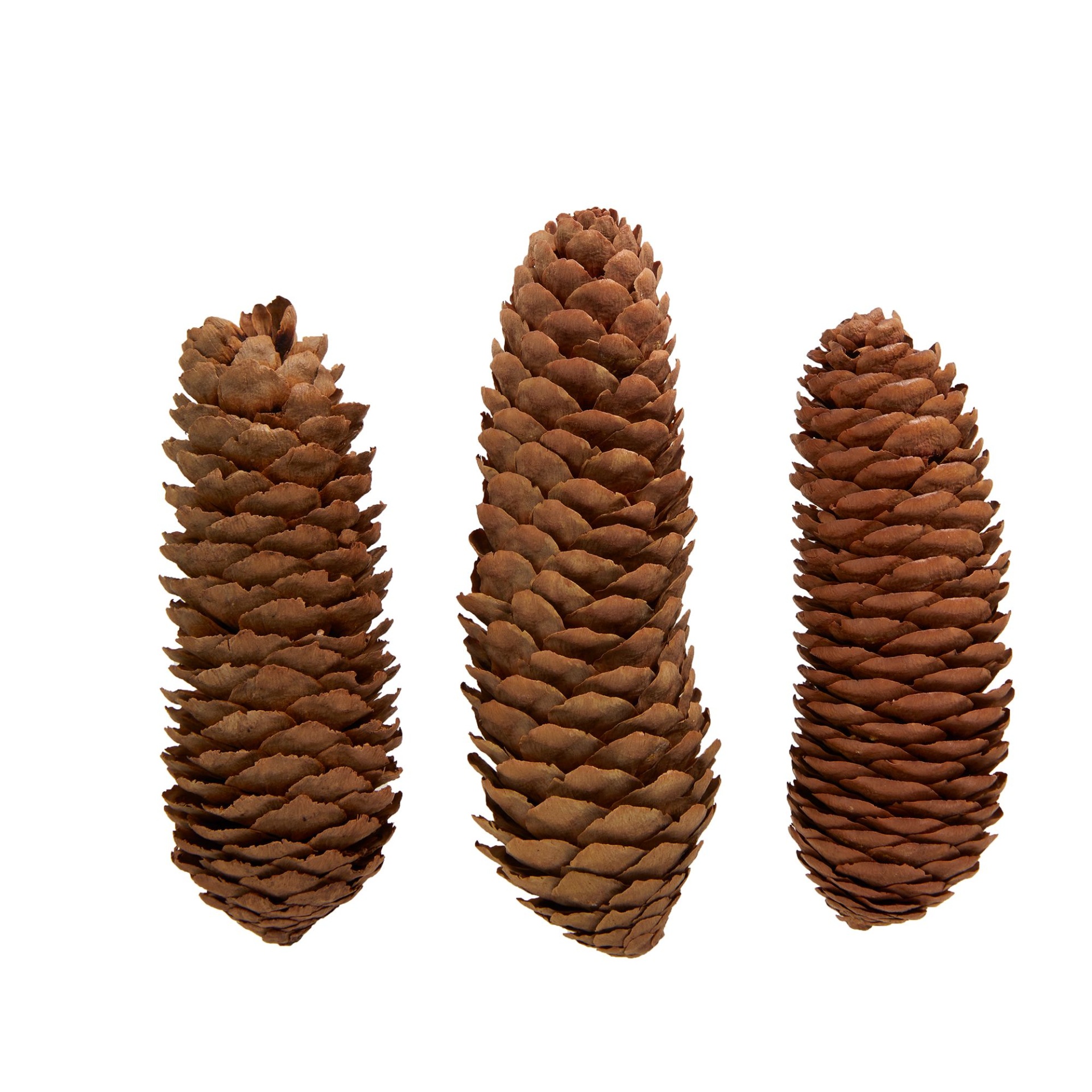 slide 1 of 1, Full Cheeks Small Pet Pinecone Chews, 1 ct