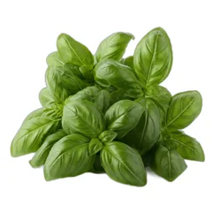 Crazy Fresh Organic Basil