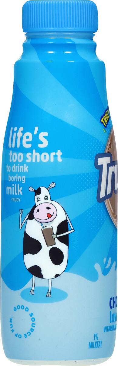 slide 6 of 7, TruMoo Fat Free Chocolate Milk, 12 fl oz
