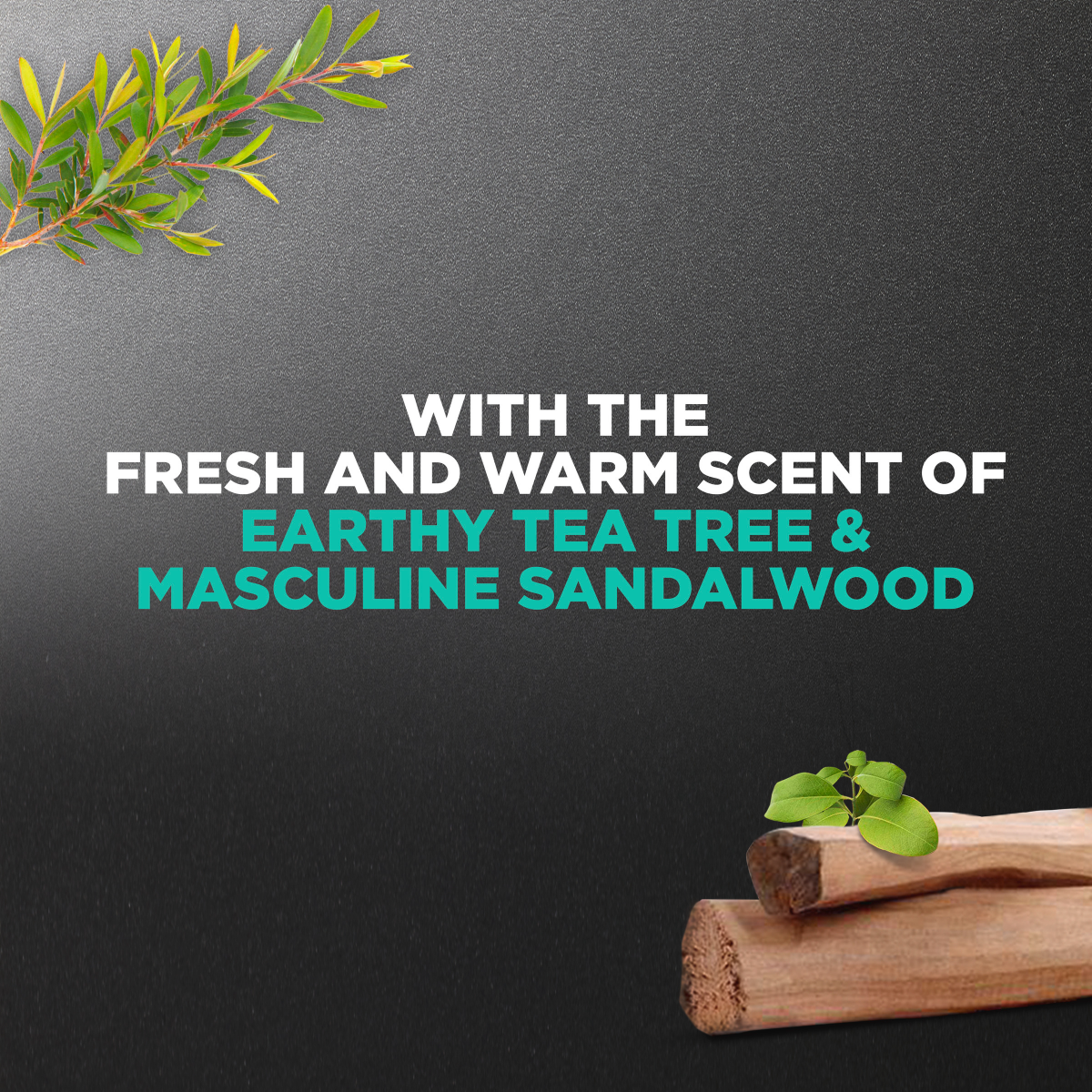 slide 17 of 21, Dove Men+Care Men Body And Face Wash, Invigorating Revive 3N1, 30 oz