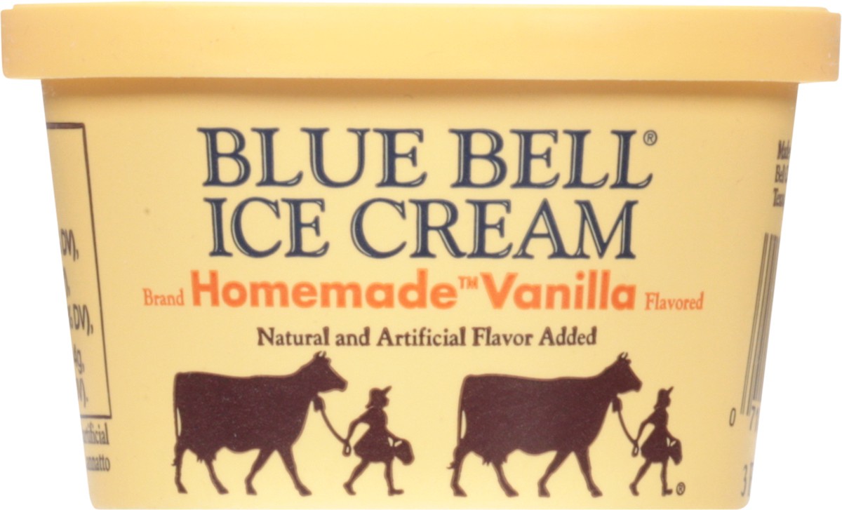 slide 3 of 14, Blue Bell Homemade Vanilla Ice Cream Cup - 1 ct / 3 fl oz, 3 fl oz