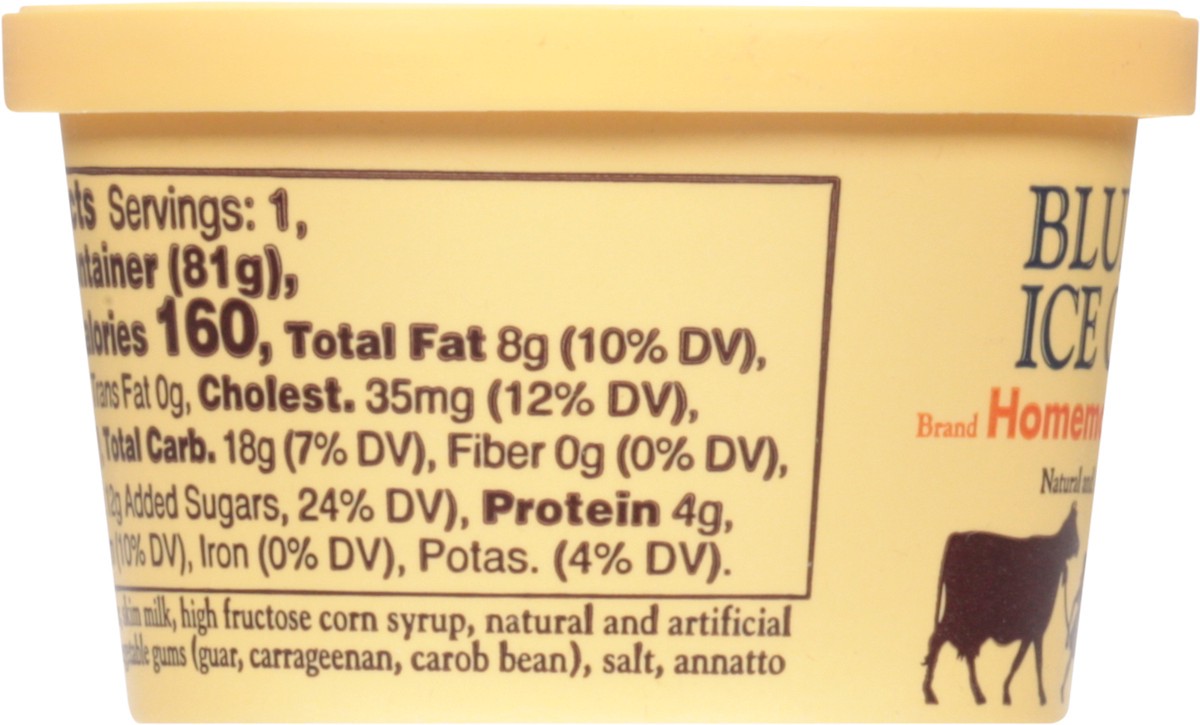 slide 6 of 14, Blue Bell Homemade Vanilla Ice Cream Cup - 1 ct / 3 fl oz, 3 fl oz