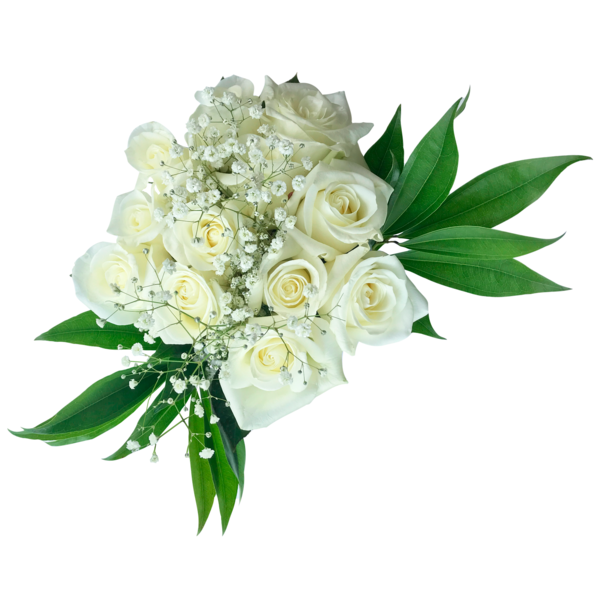 slide 1 of 1, Majestic White Rose Bouquet, 12 ct