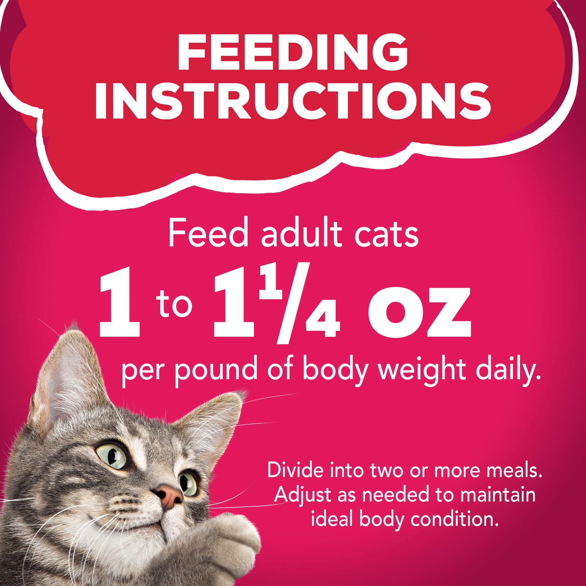 slide 5 of 7, Friskies Purina Friskies Wet Cat Food, Prime Filets With Salmon & Beef in Sauce, 5.5 oz