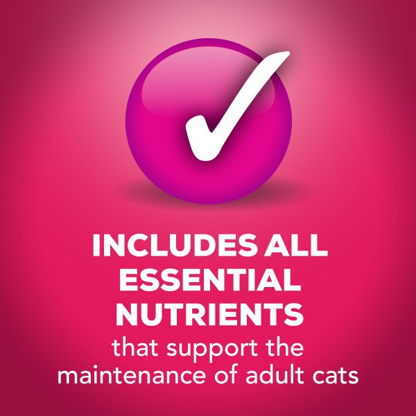 slide 3 of 7, Friskies Purina Friskies Wet Cat Food, Prime Filets With Salmon & Beef in Sauce, 5.5 oz