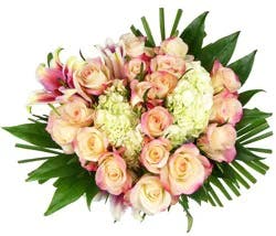 Bloom Haus 18 Plus Rose Bouquet - Pink