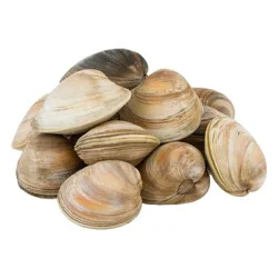 Chincoteague Shellfish Farms Wild Caught Topneck Clams Fresh