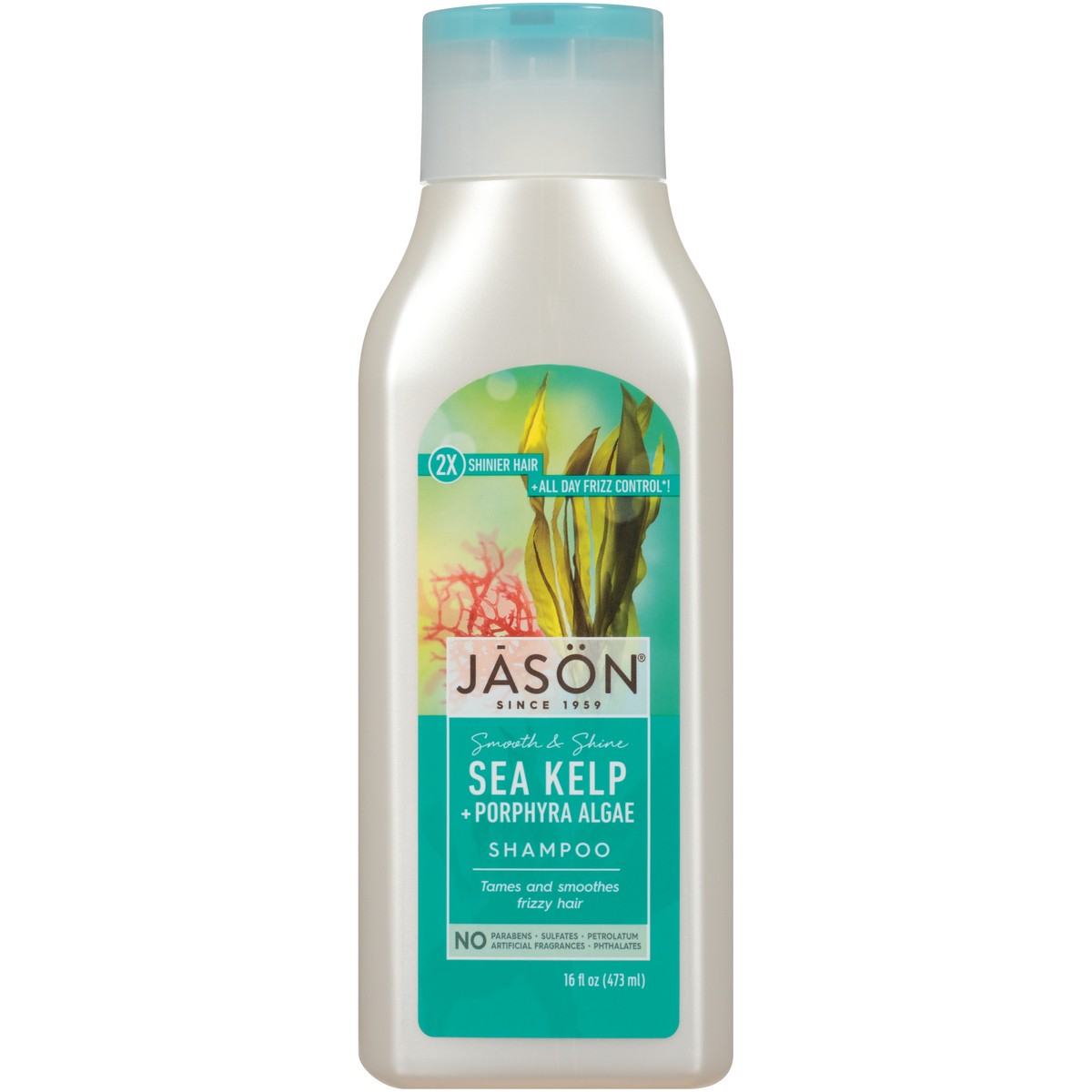 slide 1 of 9, Jason JĀSON Smooth & Shine Sea Kelp + Porphyka Algae Shampoo 16 fl. oz. Bottle, 16 oz