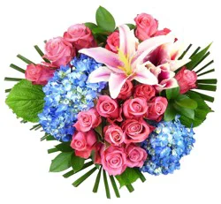 Bloom Haus 18 Plus Rose Bouquet - Hot Pink