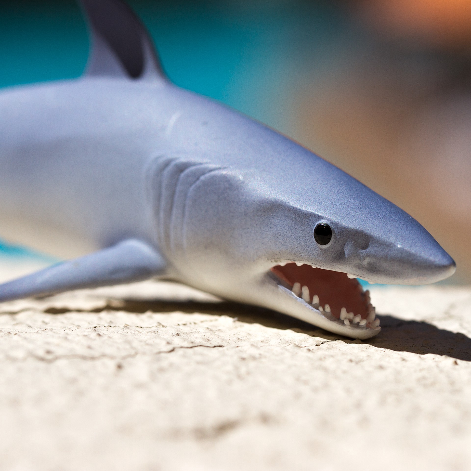 slide 3 of 4, Safari Ltd. Safari Ltd Mako Shark, 5.75 in x 2.25 in