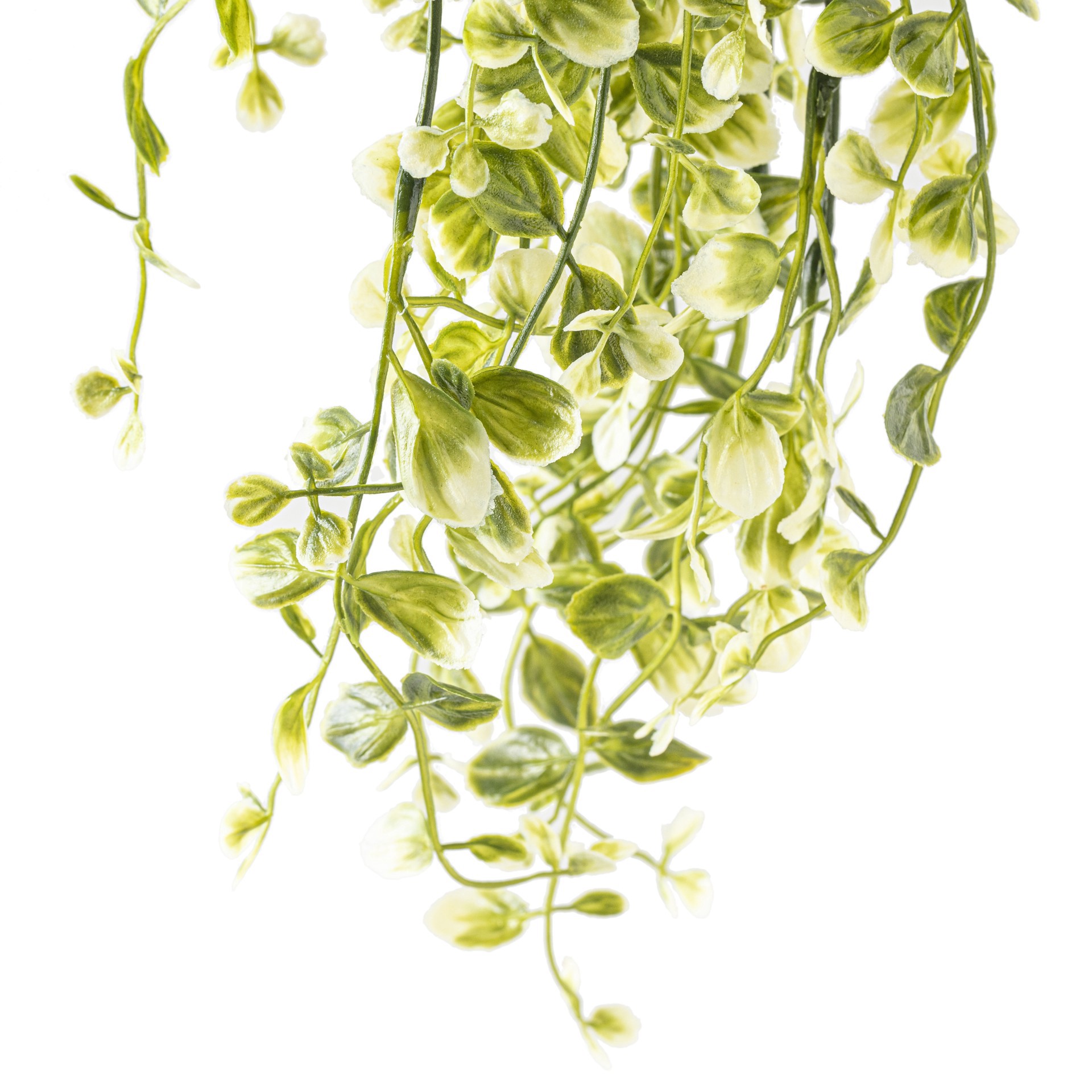 slide 5 of 5, Two Toned Green Hanging Smilax Bush By Ashland, 11 in x 7 in x 16 in