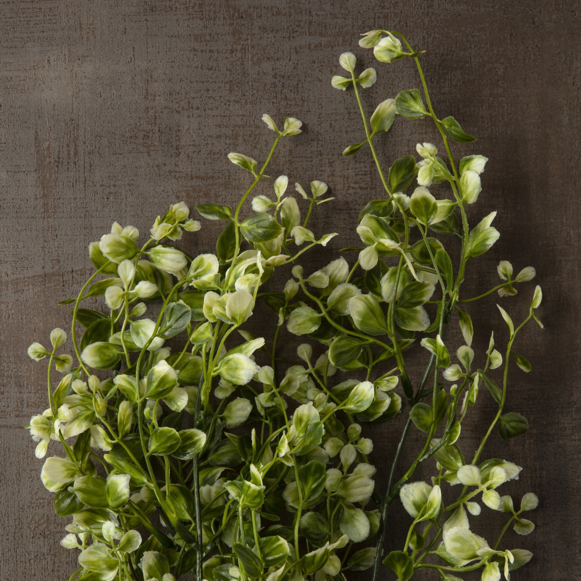 slide 3 of 5, Two Toned Green Hanging Smilax Bush By Ashland, 11 in x 7 in x 16 in