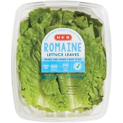 H-E-B Ready, Fresh, Go! Romaine Lettuce Leaves