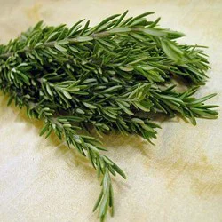Rosemary - Organic
