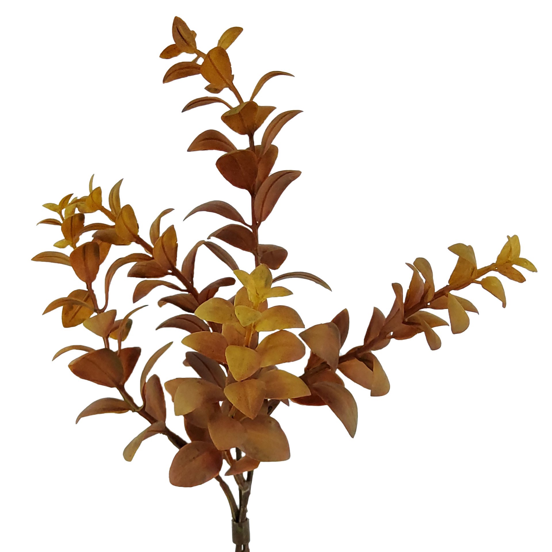 slide 2 of 3, Mini Brown Eucalyptus Bundle By Ashland, 12 in x 6 in x 3 in