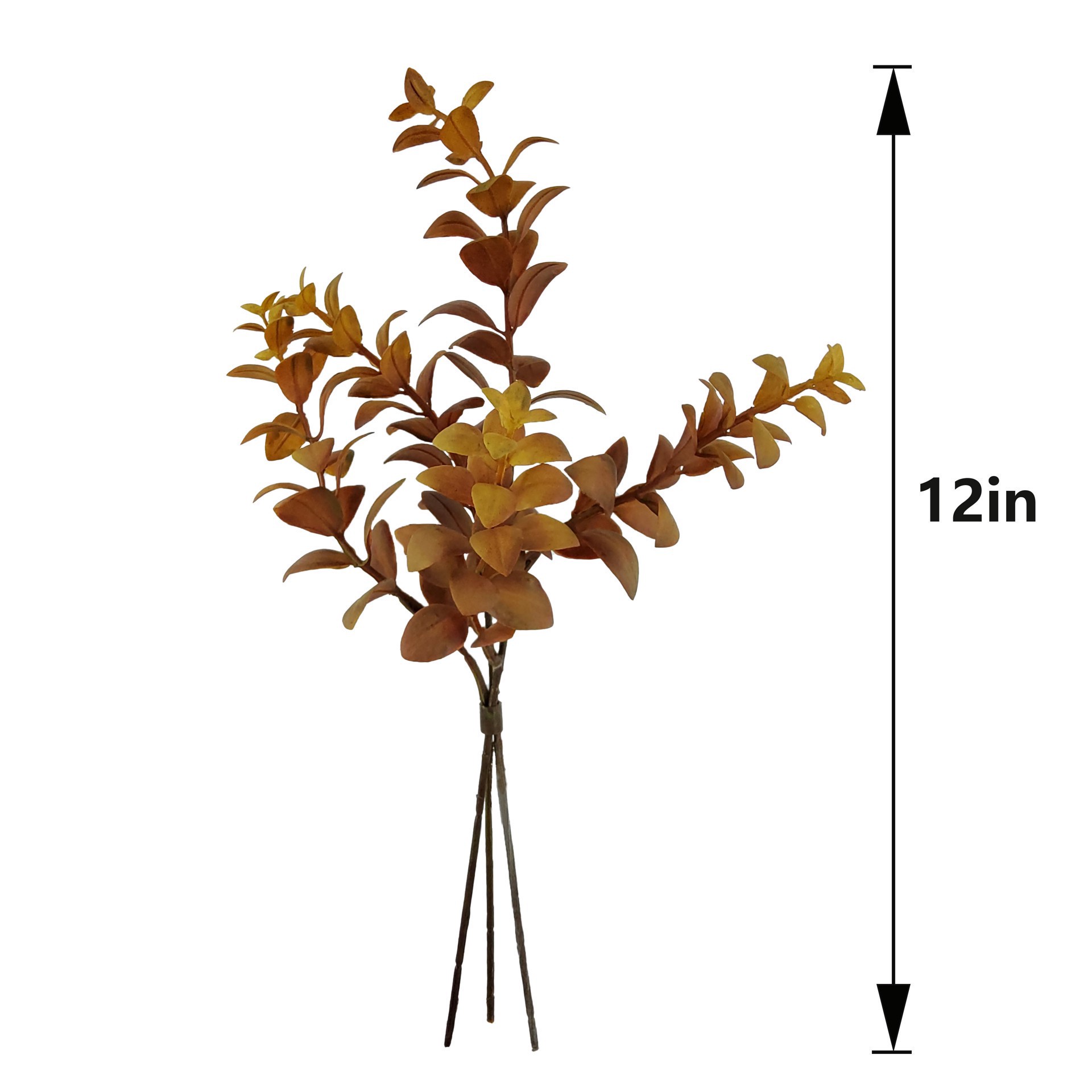 slide 3 of 3, Mini Brown Eucalyptus Bundle By Ashland, 12 in x 6 in x 3 in